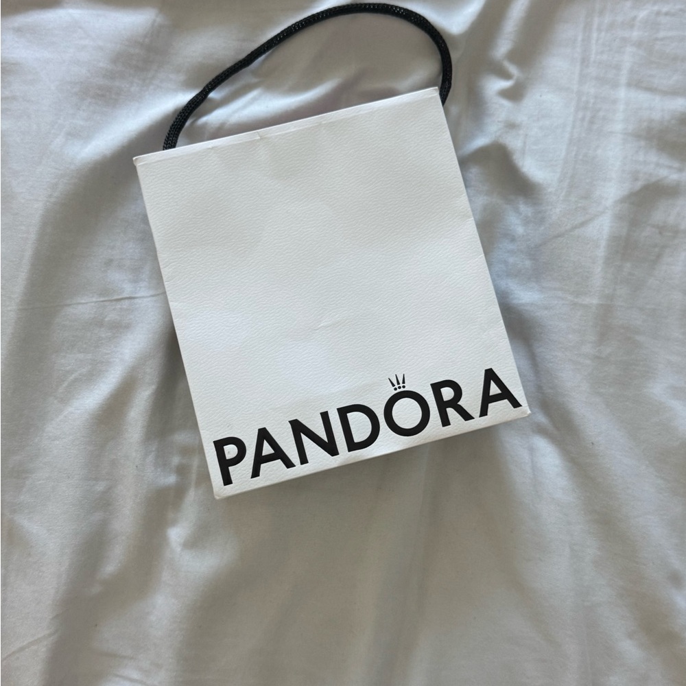 Pandora Bag